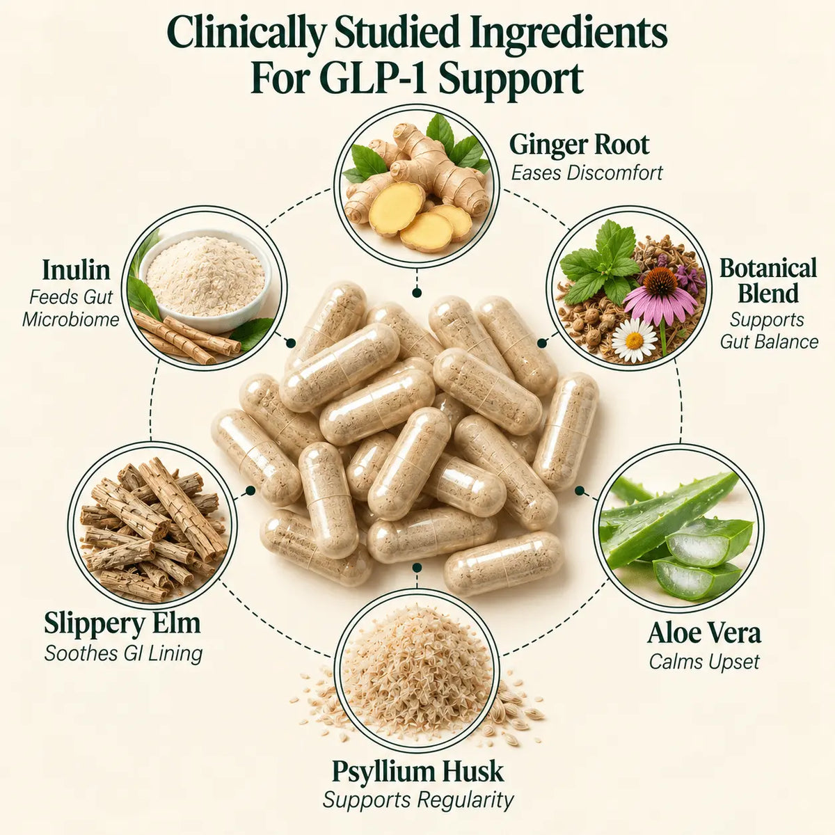 Daily Gut Complex