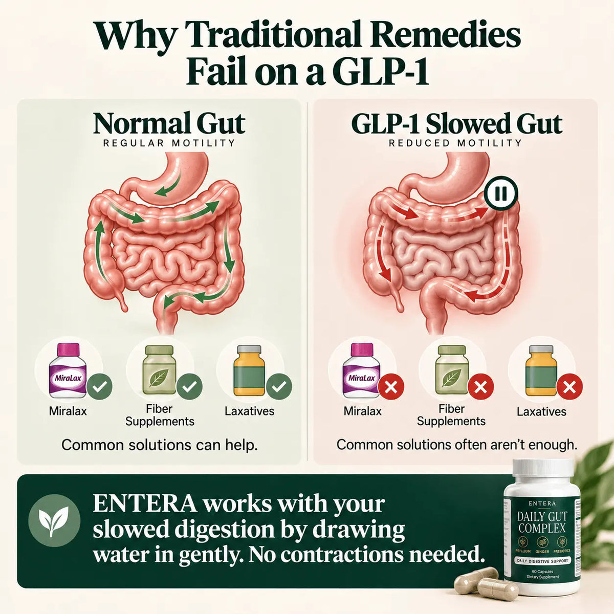 Daily Gut Complex